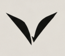 VEYKO Logo